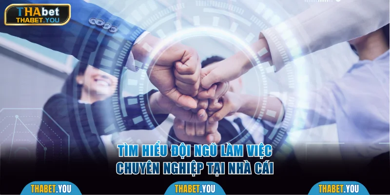 Tìm hiểu đội ngũ làm việc chuyên nghiệp tại nhà cái